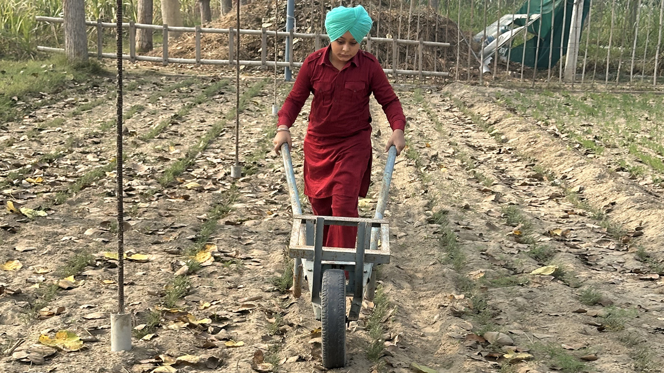 ਵੂਫਿੰਗ
(Wwoofing)